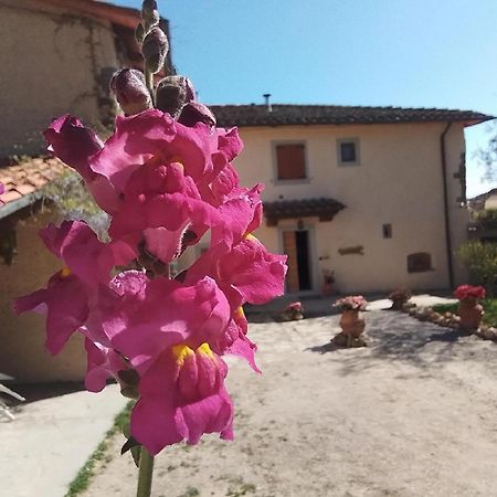 Casa Vacanze Podere Ugolini Ronta Kültér fotó