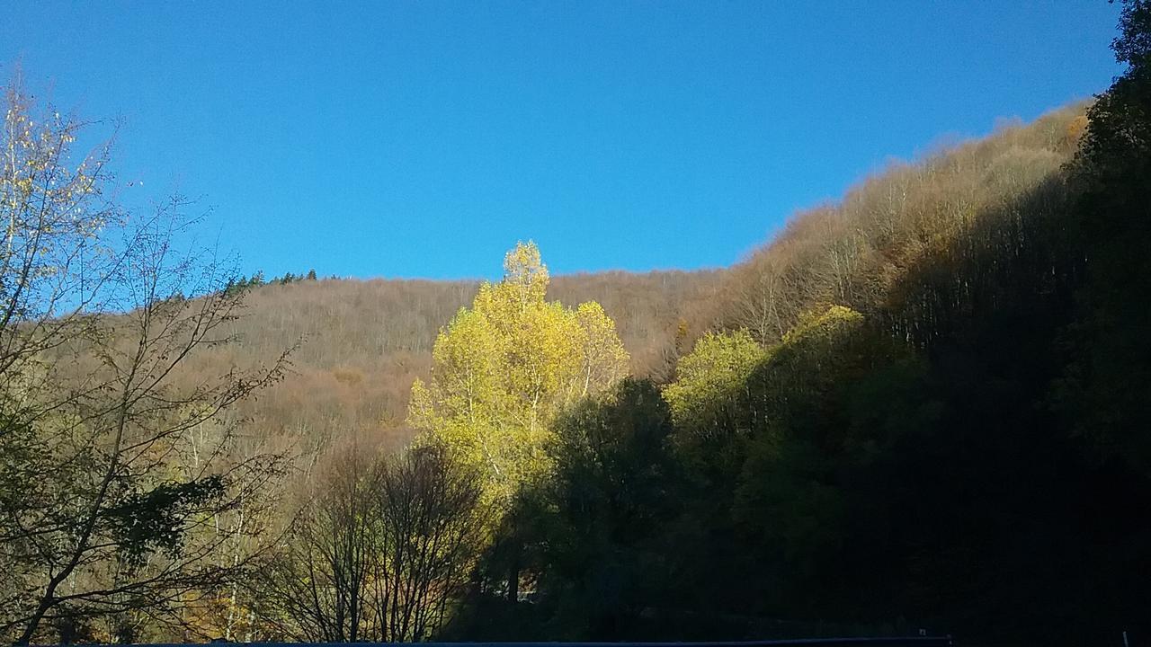 Casa Vacanze Podere Ugolini Ronta Kültér fotó
