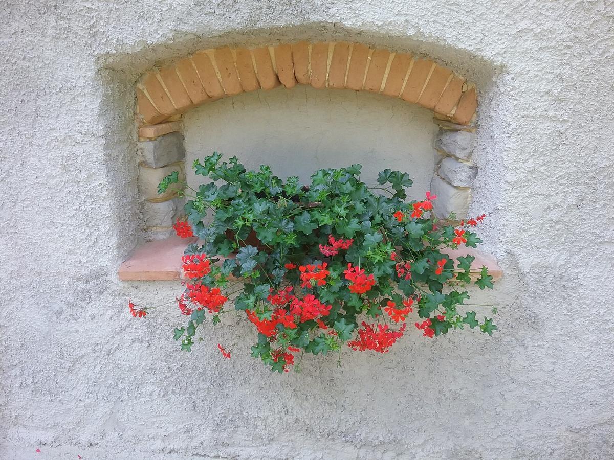 Casa Vacanze Podere Ugolini Ronta Kültér fotó